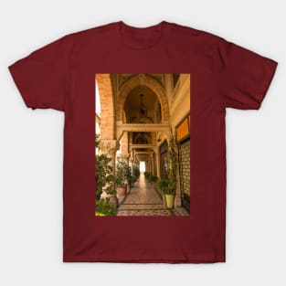 Ornate Portico in Treviso, Italy T-Shirt